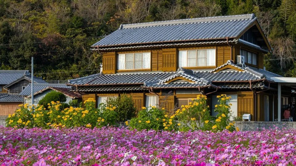 Casa tradicional japonesa tras un campo de cosmos en flor
