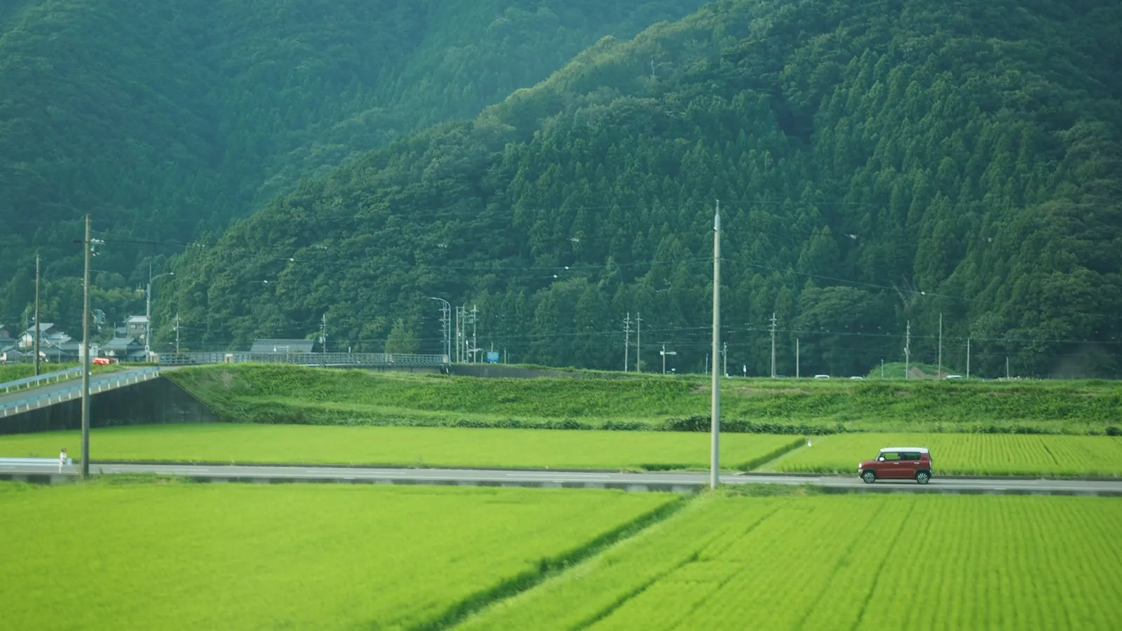 Arrozales y carretera rural al pie de una montaña japonesa